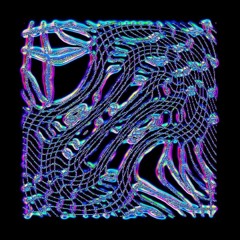 Robwun - Leechy Thiefy