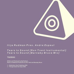 TGOE003 2. Ilija Rudman Pres. Andre Espeut - Tears To Sound [Barnaby Bruce Mix] SAMPLER