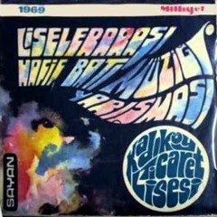 Kadıköy Ticaret Lisesi - Sexy Girl 1969 - İnternette İlk (Plak/Vinyl Record)