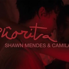 SHAWN MENDES & CAMILA CABELLO - SERORITA - TIM MASHUP