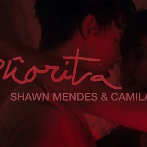 SHAWN MENDES & CAMILA CABELLO - SERORITA - TIM MASHUP