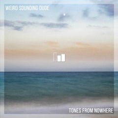 Weird Sounding Dude - Tones From Nowhere (Original Mix)