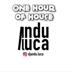 DjAndu.Luca - One hour of house #7 "first of the year"