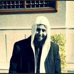 أين العدل فينا | الشيخ محمود هاشم