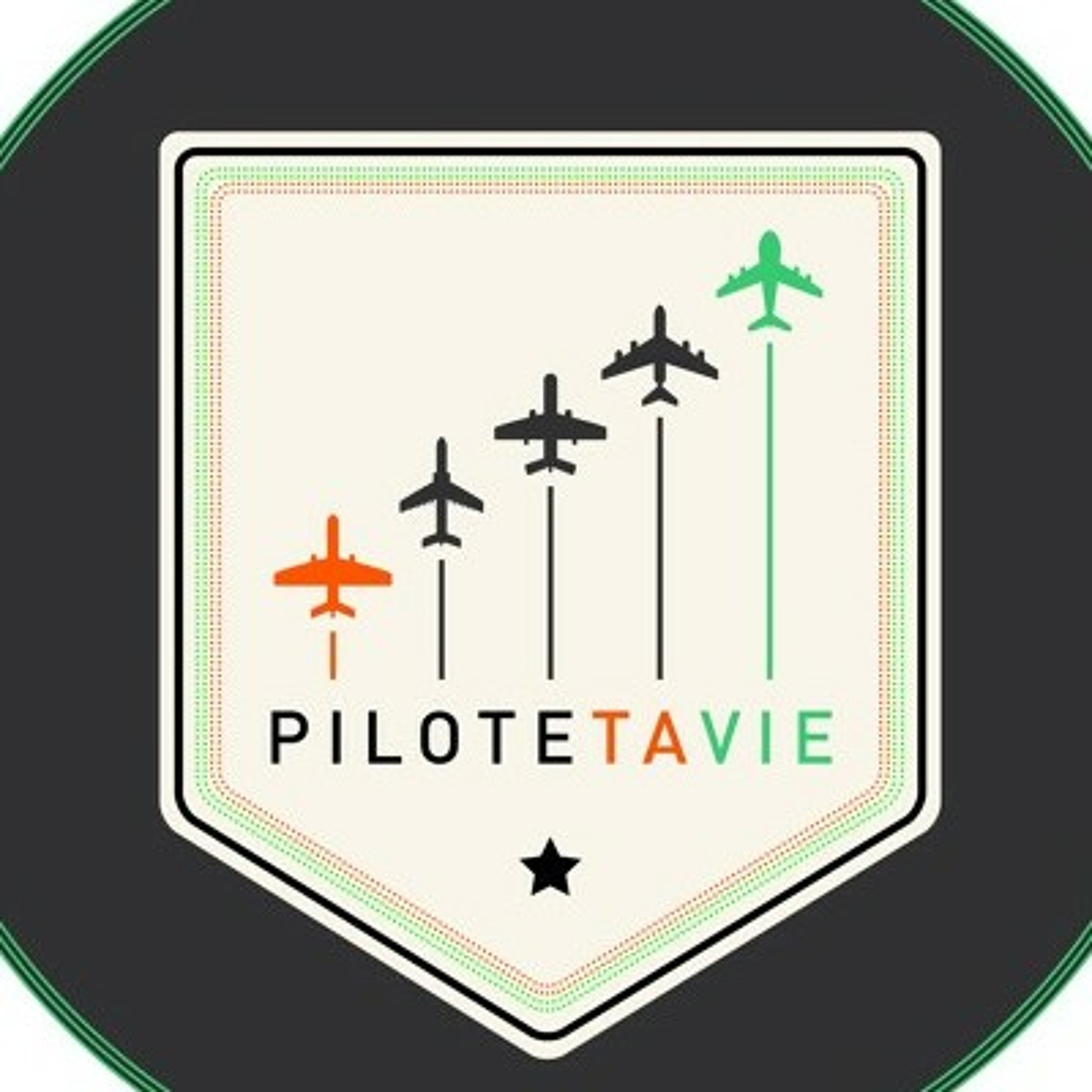 Pilote Ta Vie - Dév. Perso PNL Coaching