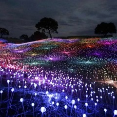 Lights are visible