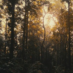 Pain taught me reality (free 2 rap)