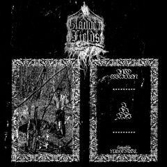 Into Oblivion | XII.XXVIII.MMXIX