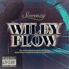 Stormzy - Wiley Flow - O Rei House Remix