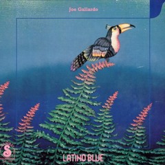 Joe Gallardo - Sambita - Tropical Tempo Edit