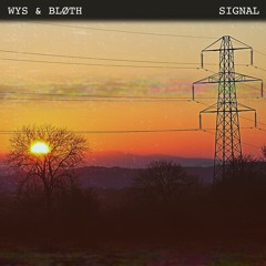 a thousand versions of sunset