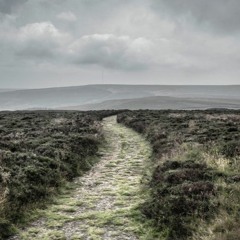 A Sense of Derealization