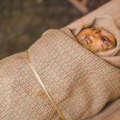 Ankunft der Könige und Festankündigung 2020