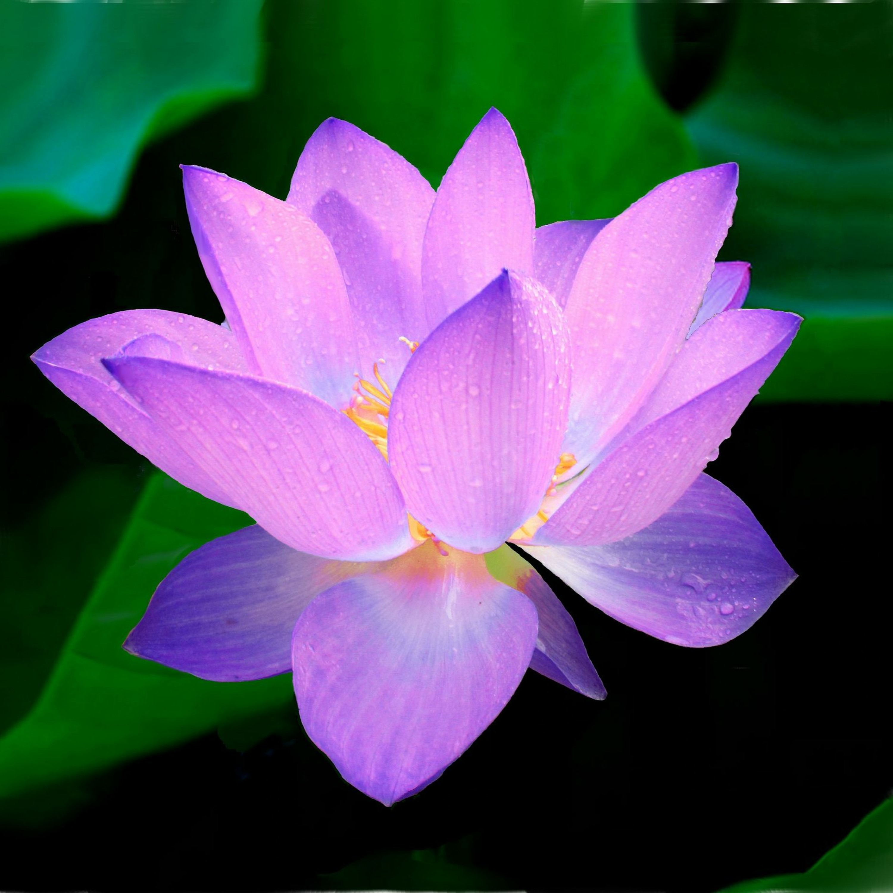 Unity Spiritual Center