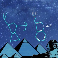 DMT in Orion Constellation [142 BPM]