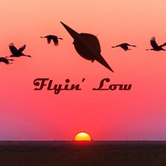 Flyin' Low