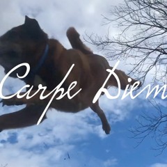 Carpe Diem (one life)