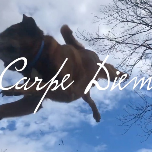 Carpe Diem (one life)