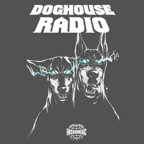 DOGHOUSE RADIO #041 (INSOMNIAC RADIO