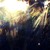 Artwork for NEOTROPIC - The Cosmic Hour