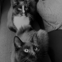 Birch, 2020 (playlist)