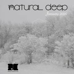 NaturalDeepJanuary2020