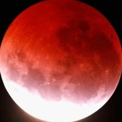 PX6SHXD SHXT - Denzel Curry