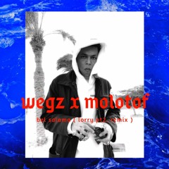 Wegz X Molotof - Bel Salama ( Lorry Pt.2 Remix ) ويجز و مولوتوف - بالسلامه