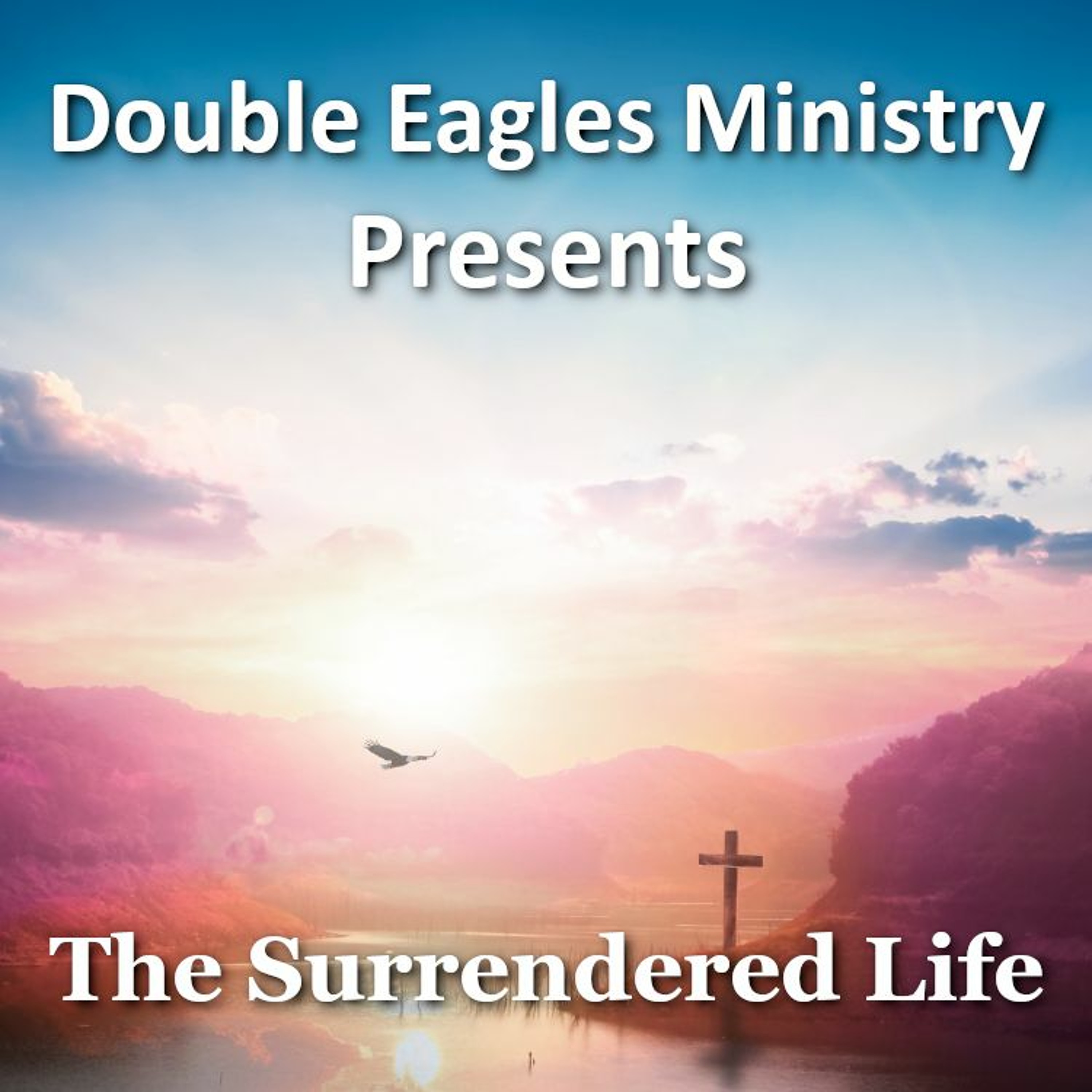 The Surrendered Life episode artwork