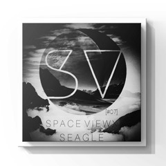 SPACE VIEWX [#07] S E A G L E (Iceland,Dub Techno)