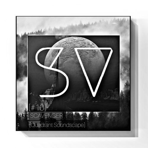 SPACE VIEWX [#10] Scavenger (United Kingdom,Dub Techno)[Quadrant Soundscape]