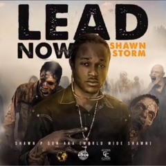 Shawn Storm - Lead Now