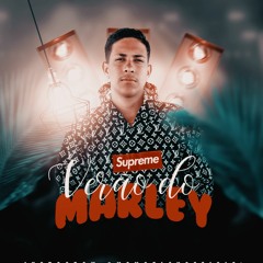 MC MARLEY - BOTA BOTA - CARNAVAL 2020 #VERÃO - SHEVCHENKO E ELLOCO, MC LOSK E 10G, MC MORENA
