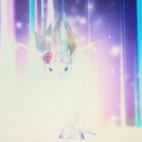 no_jewelz_**STILL*SHINNIN* produced by tmike + chainheld + tripdixon