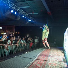 Dredlok Bass (2019 Recap)