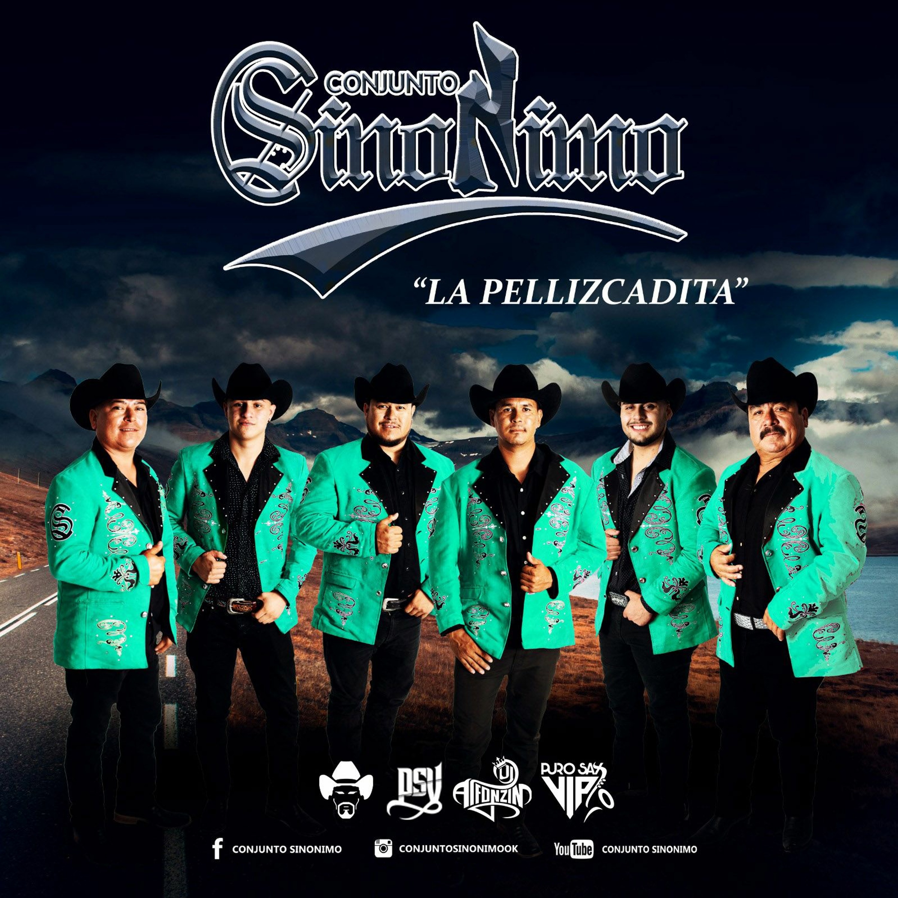 Conjunto Sinonimo - Huapango La Pellizcadita / 2020 episode artwork