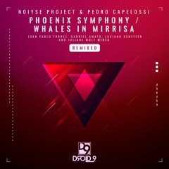 NOIYSE PROJECT & Pedro Capelossi - Phoenix Symphony (Juan Pablo Torrez Remix) [Droid9]