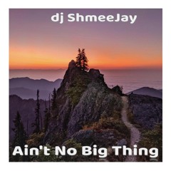 dj ShmeeJay - Ain't No Big Thing