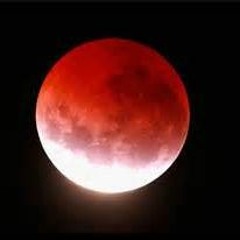 DENZEL CURRY - "NO PEN, NO PAD" - 13LOOD 1N + 13LOOD OUT