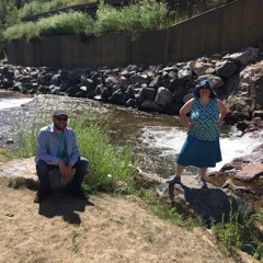 Dynamo Hummingbird (live)