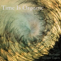 Time Is Organic A Minute Till Midnight #2461