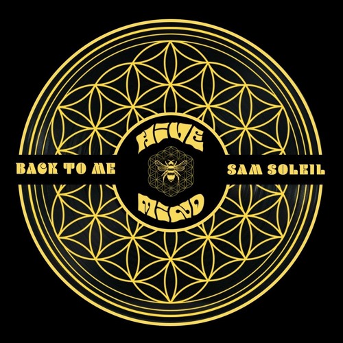 Back To Me - Sam Soleil