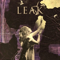 Leak