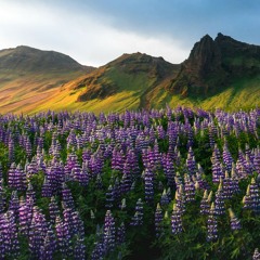 احمد العدوي موجوع - Ahmed Eladawy Mawgo3(MP3_160K).mp3