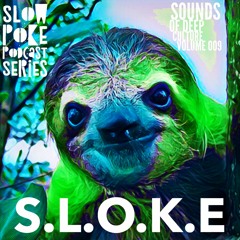 S.L.O.K.E // Slow Poke Session 009 With Sounds of Deep Culture