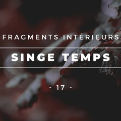 Fragments Intérieurs - 17 - Singe Temps