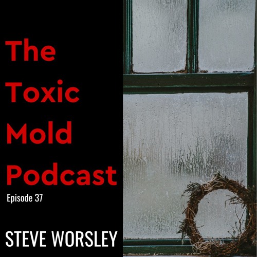 EP 37: Condensation and Toxic Mold