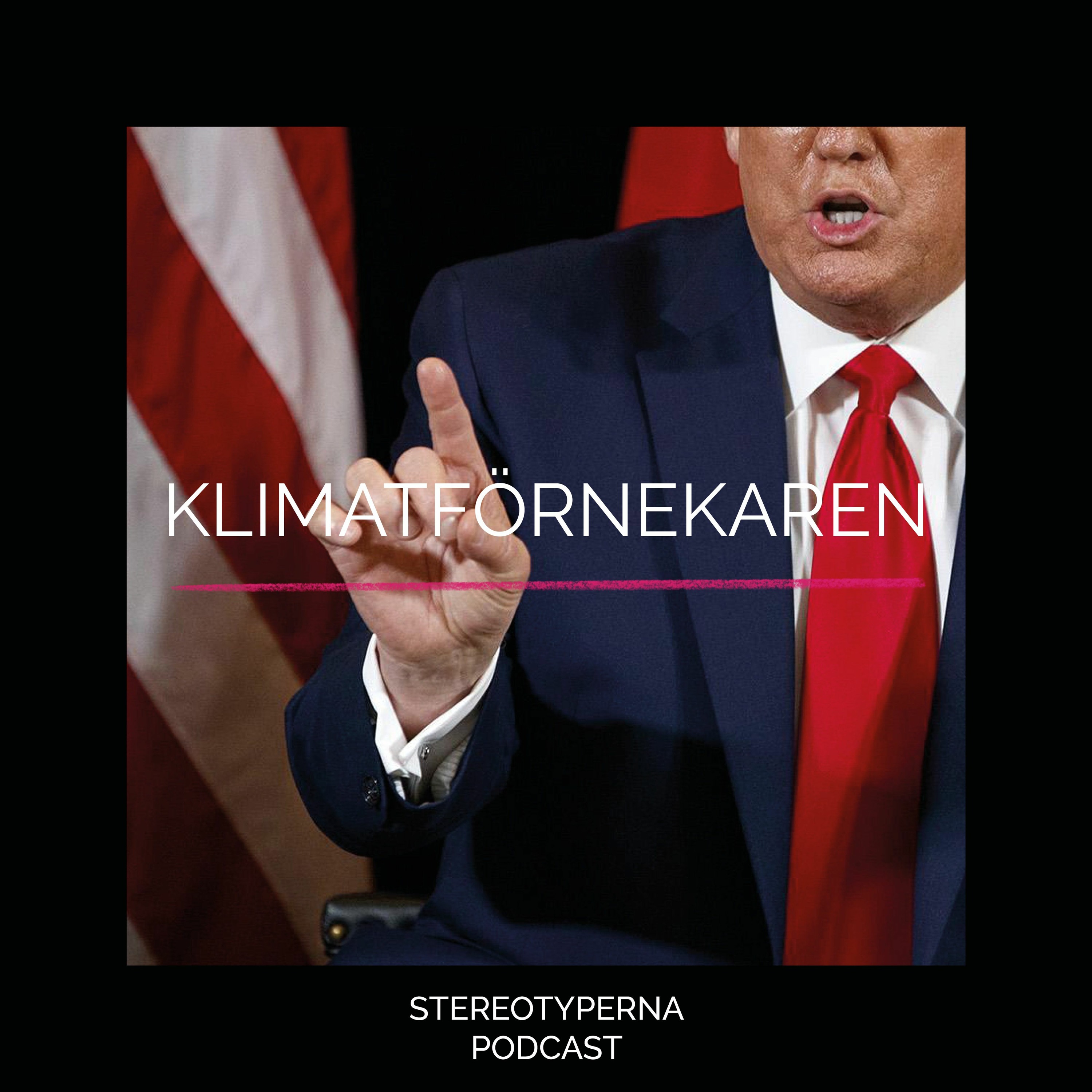 Stereotyperna