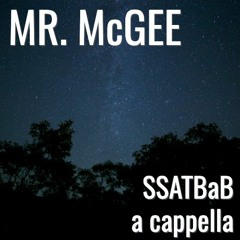 Mr McGee