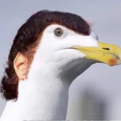 S.gull Dancer (HARDCORE ACID)